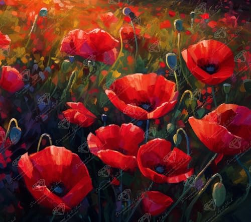 Kit de peinture diamant champ de coquelicots toile DIY adulte débutant