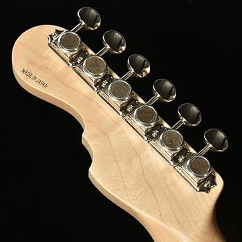 Amazon | Momose MJS-TOCHI WSE'24/NJ HYD-BL-B (Hydrangea Blue Burst