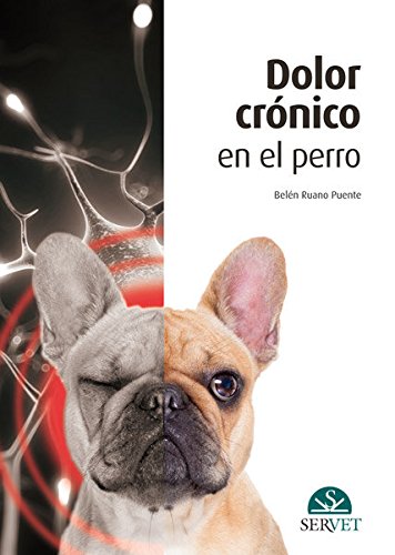 Buy Dolor Crónico En El Perro — BookShops.in