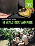 Im Wald der Vampire