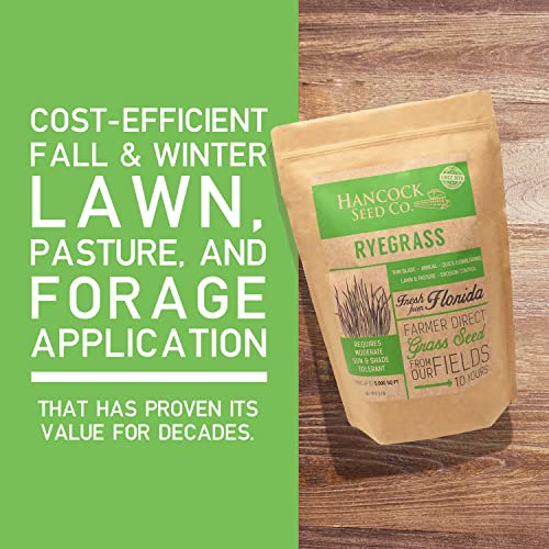 Hancock Seed Co. Ryegrass Seeds - 50 Lbs. #TOP1