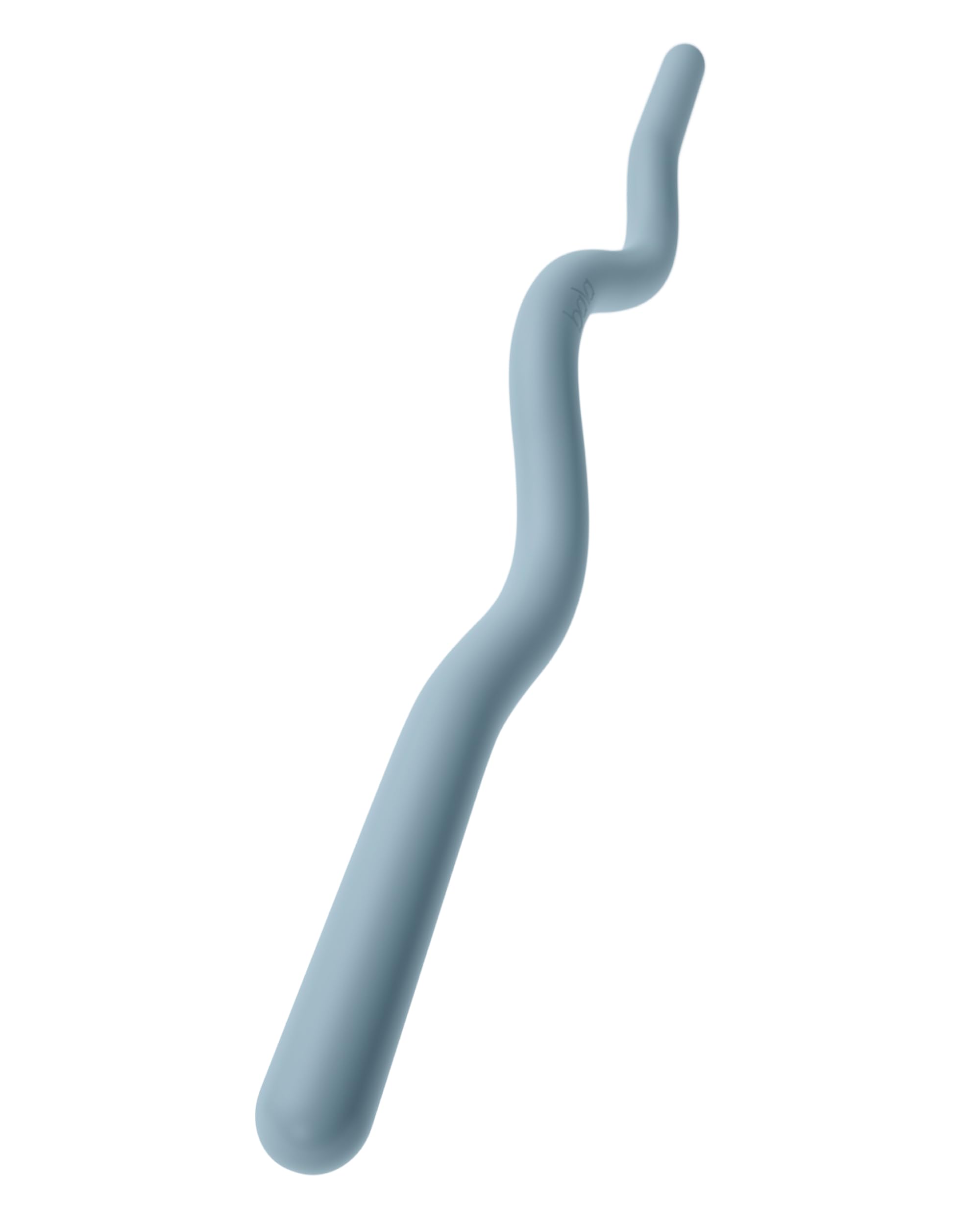 Beam, 15 LB Curl Bar for Working Out - Home Gym Equipment