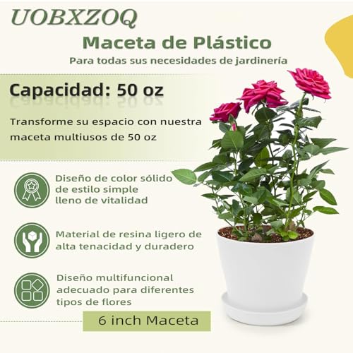 La mejor comparación de Macetas economicas disponible en línea para comprar. 30 La mejor comparación de Macetas economicas disponible en línea para comprar. 28