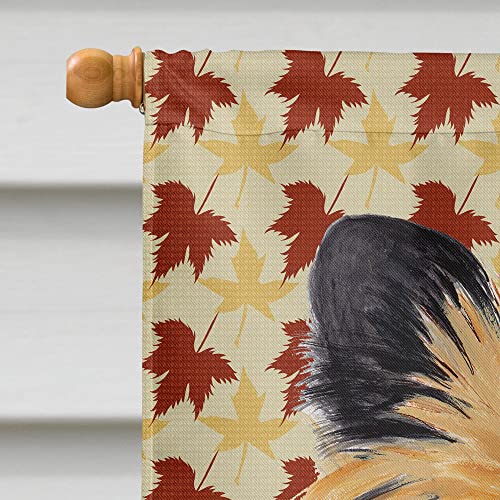 Drapeau Cairn Terrier grand format motif automne pour maison - 4