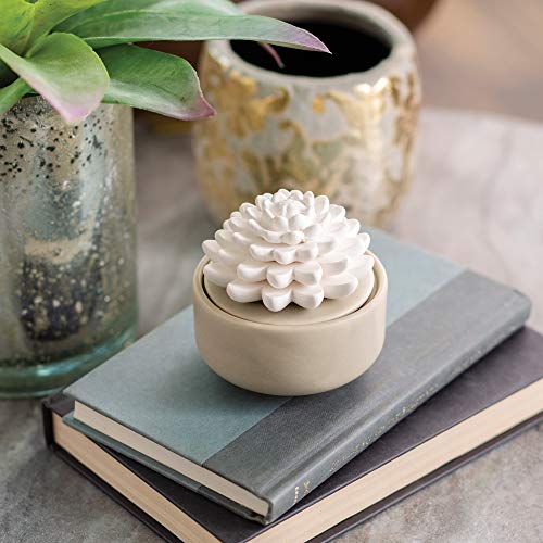 Airomé PDSCL Succulent Passive White Porcelain Diffuser, Non-Electric, Battery-Free Fragrance And Essential Oil Diffuser thumb #2