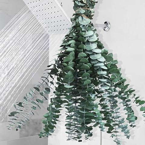 Eslibin 12 PCS Dried Eucalyptus Stems Cover