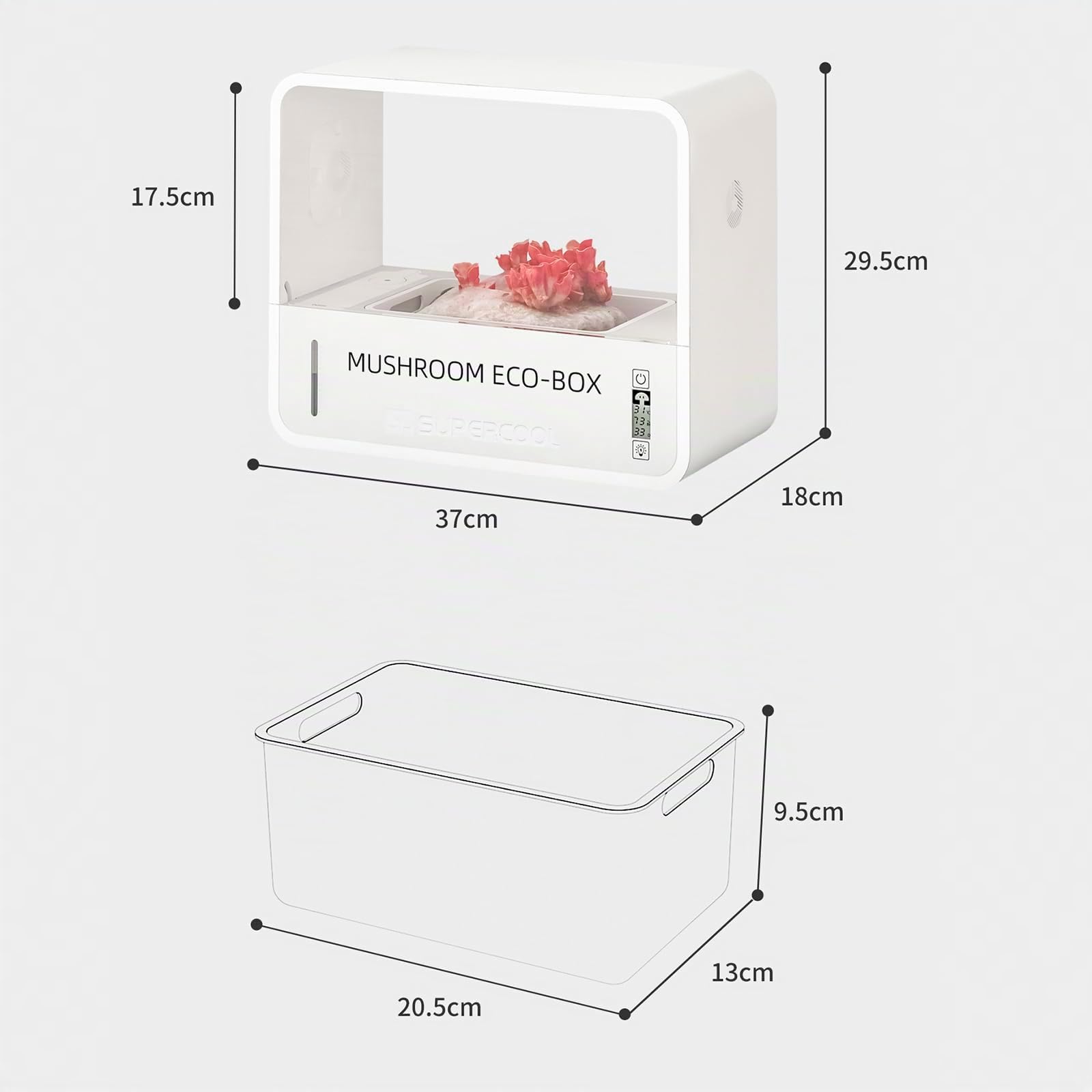 Set de Cultivo de Setas, Kit de Hongos Con Indicador de Temperatura y Humedad, Caja Inteligente