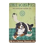 Pzecaru Vintage Poster Metal Sign Bernese Mountain Dog Restroom Paper Co Tin Signs Retro Plaque Wall Decor Gift For Home Kitchen Bar People Cave Gym Office Club 8x12 Inch