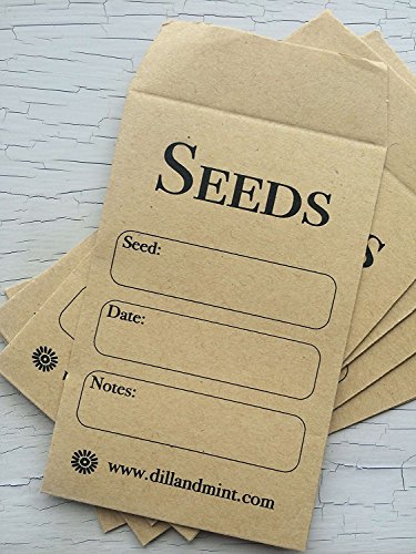 Samen Aufbewahren - Top 5 Produkte unter der Lupe