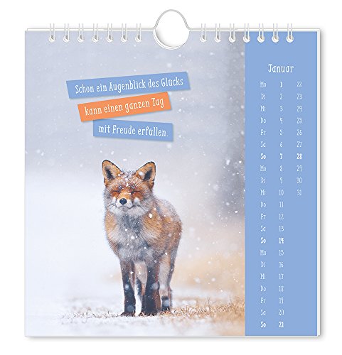 Glücksbringer 2018 Postkartenkalender