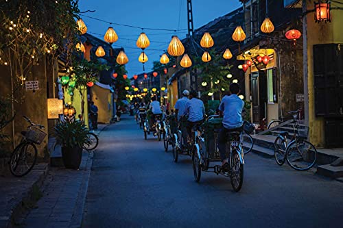 Snapdragon Mushroom Vietnamese Pho Soup Bowl, 1.6 Oz (Pack Of 6) #TOP6