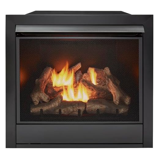 Duluth Forge Dual Fuel Gas Fireplace Insert