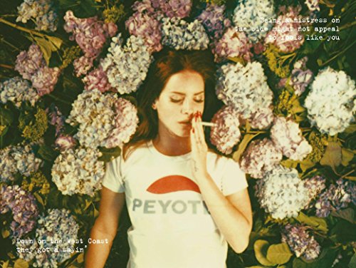 NewBrightBase Lana Del Rey Star Fabric Cloth Rolled Wall Poster Print - Size: (32" x 24" / 17" x 13")