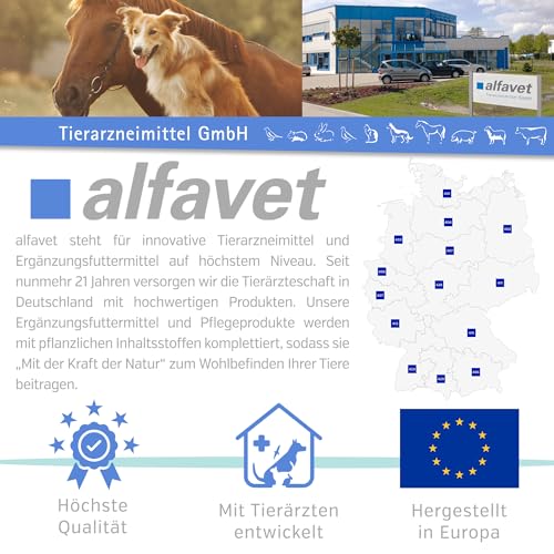 alfavet ReConvales Tonicum Katze, 3 x 45ml, appetitanregendes Ergänzungsfuttermittel zur Rekonvaleszenz und bei Untergewicht