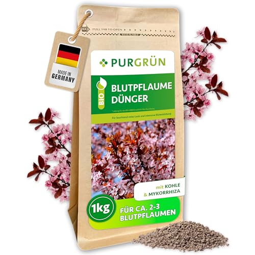 Purgrün® Bio-Blutpflaume-Dünger 1 kg...