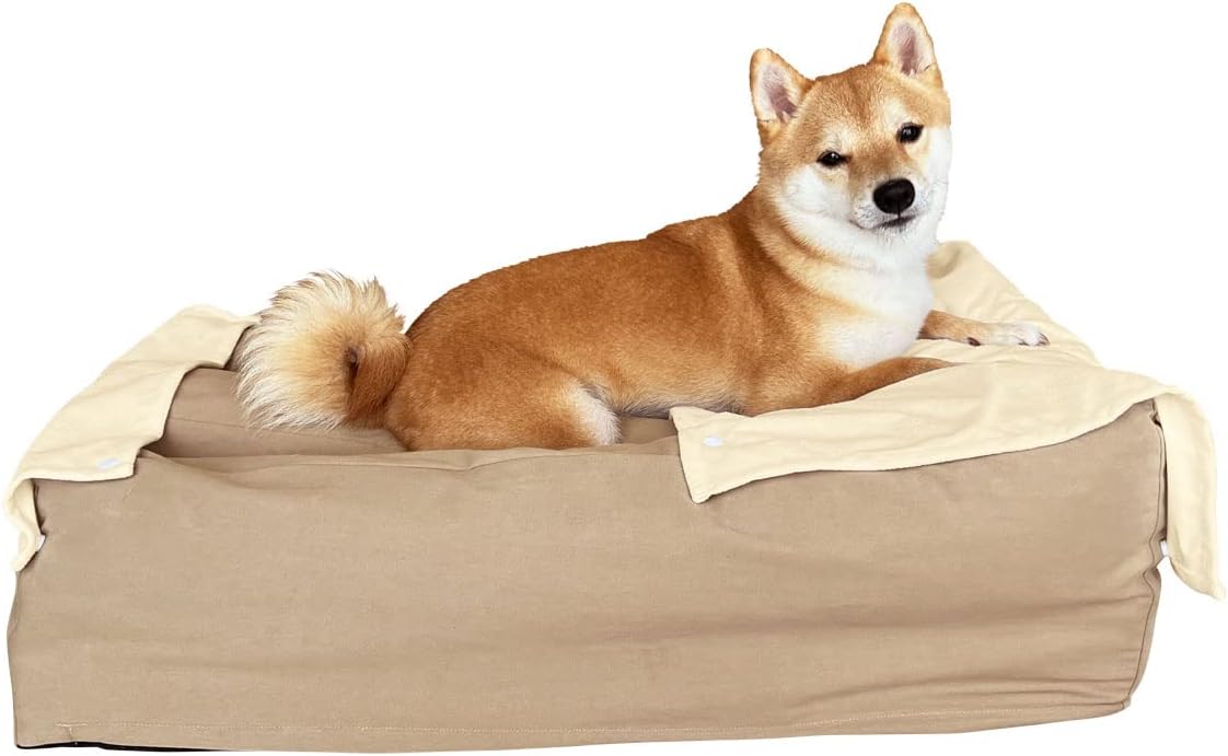 最新1本限定】アクアドルナオールインワン ゲル本体と専用容器の