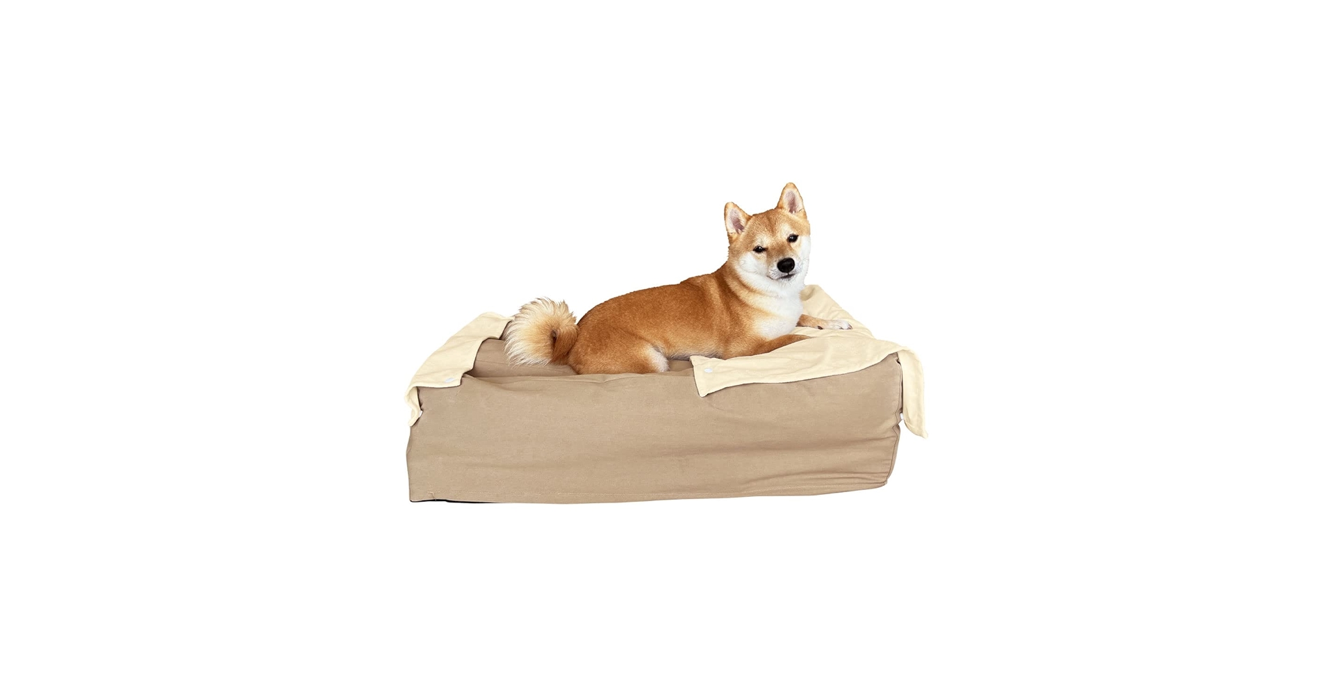 51PkMGgFD4L.jpg_BO30,255,255,