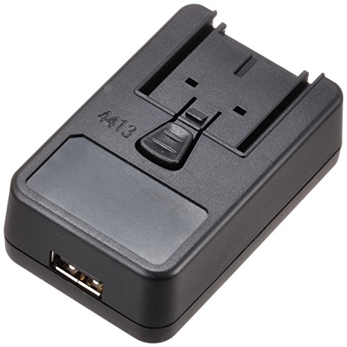 RICOH ACアダプター AC-4g 51PkMH7E4tL.jpg