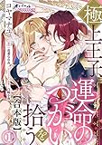 極上王子、運命のつがいを拾う【合本版】① (オパールCOMICS)