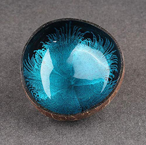 Emousport Coconut Shell Key, Candy Bowl Table Key Storage Section Coconut Bowl Ink Creative Ornament Creative Storage Bowl (Blue)