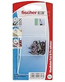 fischer