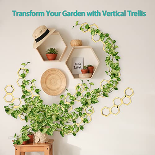 Midrean 6Pcs Small Wooden Honeycomb Hanging Hoya Wall Trellis For Climbing Plants Indoor,Plant Support Expandable For Monstera Pothos Vine Ivy Pots Garden Trellis For Climbing Plants(2 Sizes) #TOP6
