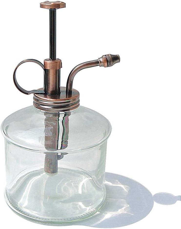OCTMUSTARD Plant Mister Flower Water Can Pot with Premium Copper Sprayer and Clear Glass Bottle,3.5 X 3.5 X 6 Inch