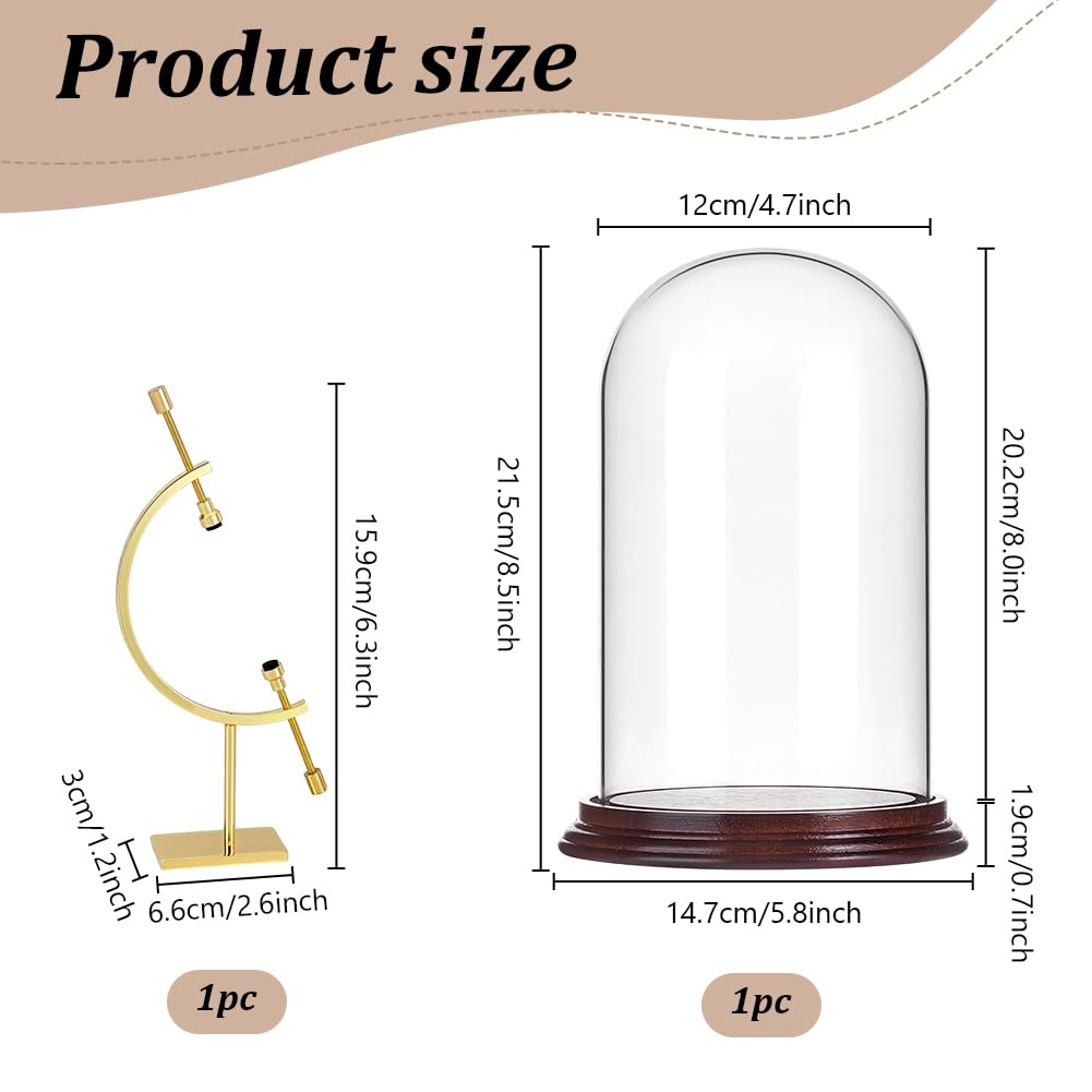 PH PandaHall 21.5x14.7cm Vitrine de Montre de Poche Cloche Dôme en Verre avec Support Sphérique et Base en Bois pour Plantes Médailles Photos Ornements