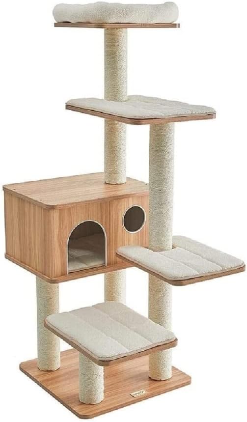 ニシキギの育て方｜ヤサシイエンゲイ 2 山採り ニシキギ