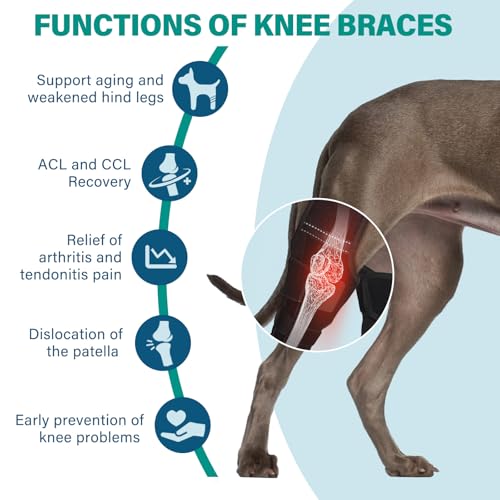 Image of Dog Knee Brace with Vest, Support Dog Acl Brace Hind Leg Torn, Adjustable Dog Rear Leg Braces for Cruciate Ligament Injury, Joint Pain Relief and Arthritis (Double, 4)