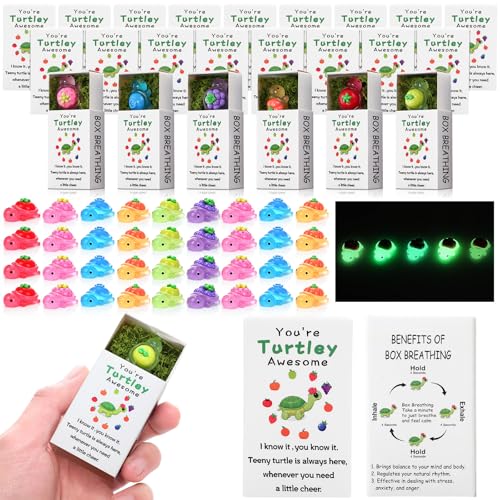RoundFunny 36 Sets Employee Appreciation Gifts Bulk, Resin Turtle Gifts
