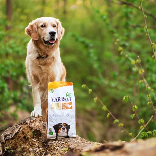Yarrah Adult Nahrhaftes Bio-Trockenfutter für Hunde – für alle Erwachsenen Hunde | Exquisite Biologische Hundebrocken mit Huhn, 5kg | 100% biologisch & frei von künstlichen Zusätzen
