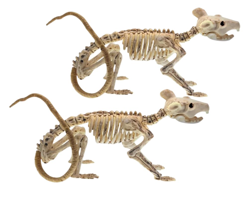 Aweilan Halloween Animal Skeleton,Horrible Rat Skeleton Simulation Rat Model Vivid Rat Bone for Yard Garden Lawn Patio Halloween Party Favors Decor,2pcs
