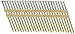 Hitachi 20163S 3-1/4-in X .131 Framing Nails, Full Round Head, Hot Dipped Galvanized, Plastic Strip Collation, For 21 Degree Framing Nailers, 1,000 Per Box
