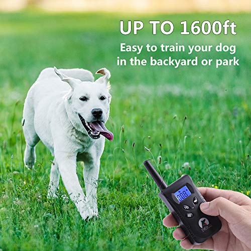Image of No Shock Dog Training Collar Rechargeable Waterproof TPU Collar No Prongs Safe (Orange)
