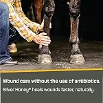 Absorbine Silver Honey - Healthy & pH Balanced Skin Care - Natural Manuka Honey & MicroSilver BG - Soothing Spray 236.6ml