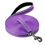 COMSLE Long Leads for Dog Training, 3m/5m/10m/15m/20m Strong Extra Long Line Dogs Lead with Handle, Light Nylon Puppy Training Lead Dog Leash for Pet Recall Tracking Obedience Camping Play Outdoor