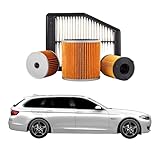 ADATTO PER - BMW 5 Touring 530 d 180 kw per anno 20102011