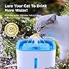 Pet Water Fountain of Health