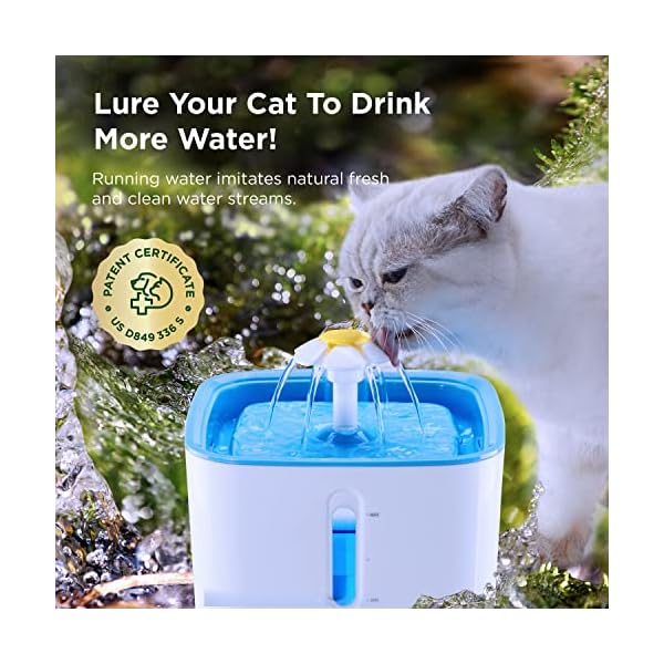 Pet Water Fountain of Health