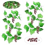 【After-Sales-Service】Wenn Sie Fragen zu unseren Kuenstliche Weinrebe haben, können Sie sich gerne an uns wenden. Wir werden das Problem innerhalb von 24 Stunden für Sie lösen.