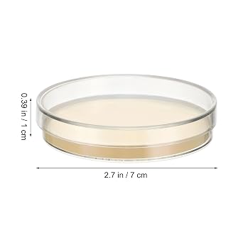 10pcs Prepoured Nutrient Agar Plates Petri Dishes with Thick Agar for Science Experiments Stem Education Microbial Culture Supplies