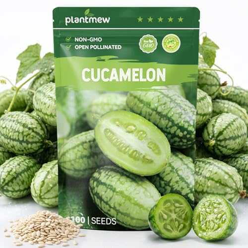 PLANTMEW 100 Heirloom Cucamelon Seeds for Planting Mexican Sour Gherkin Mouse Melon Fast-Growing Vine High Germination Ideal for Home Garden & Container