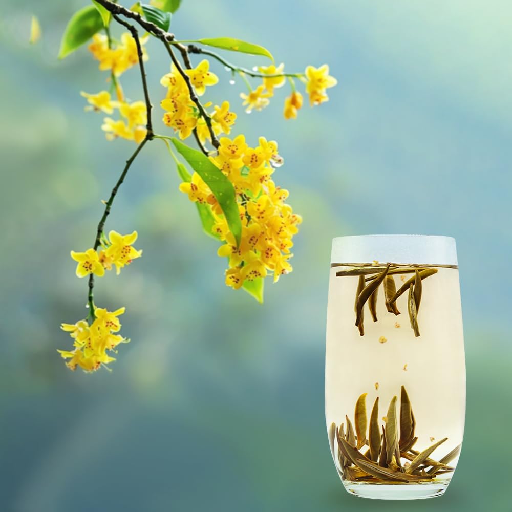 Goofoo Silver Needle White Tea Loose Leaf, Premium Chinese