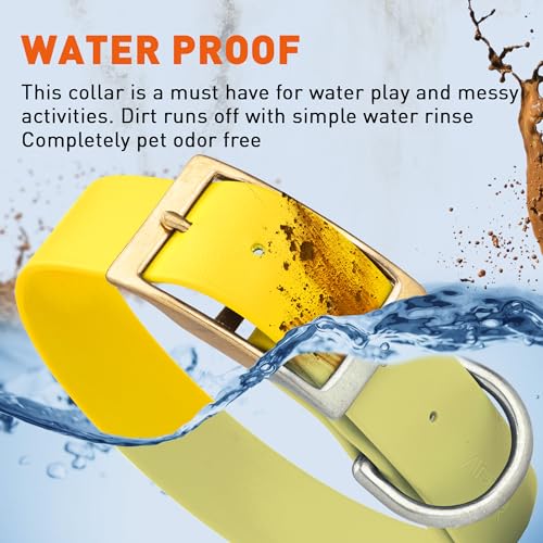 Image of Viper Biothane Heavy Duty Waterproof Dog Collar Strong Coated Nylon Webbing w /Solid Brass Hardware Odor-Proof Easy to Clean High Performance Fits Small Medium or Large Dogs, Lemon Yellow