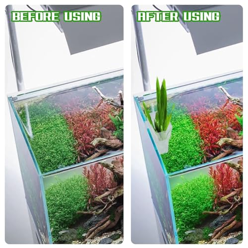 Transparenter Pflanzenhalter für Aquarien, 2 Stück, durchsichtiger Pflanzenhalter für Aquarien, Aquaponisches Aquarium-Zubehör, Top-Aquarium-Dekoration aus Acryl, Aquaponik für dekorative