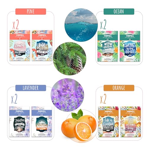 Image of Air Freshener | Long Lasting Car Mirror Hanging Air Fragrance | Motivational Quotes | Pleasant Smelling Scent | Luxury Vehicle Air Freshener for Men and Women | (MEGA PACK OF 16 SCENTS)