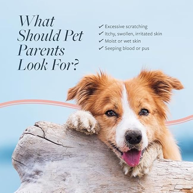 Veterinary Formula Clinical Care Hot Spot & Itch Relief Cat & Dog Medicated Conditioner, 16 oz ¨C Oatmeal Conditions Skin for a Lustrous Coat, Formulated to Help Alleviate Itchy Skin-EorWmcdC