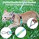 Wanmu Katzengeschirr Mit Leine, Verstellbare Ausbruchsicher Brustgurt Katzenleine Mit Geschirr füR Kleine und Mittlere Katzen, Katzenweste Katzenhalsbänder für Spaziergänge, Reisen, Outdoor