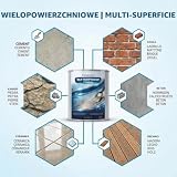 PECTRO Przezroczysty Uszczelniacz Wodoodporny – Niewidzialna Powłoka Hydroizolacyjna do Pęknięć, Okien, Gzymsów, Balkonów i Tarasów – Preparat na Bazie Wody do Wewnątrz i na Zewnątrz (1 L, 1,05 kg)
